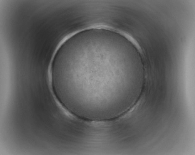 X0000116101032200911231121