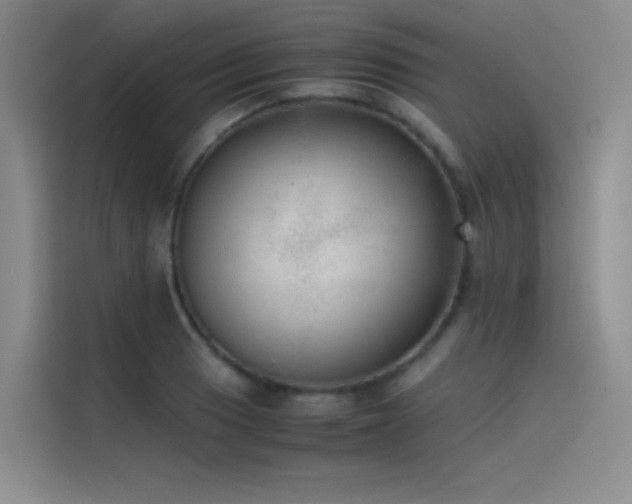 X0000116101033200911231121