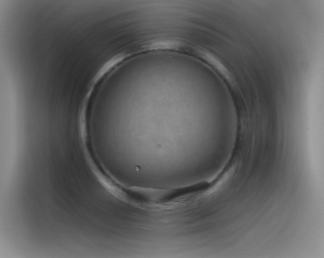 X0000116101034200911231121