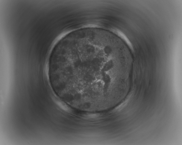 X0000116101035200911231121