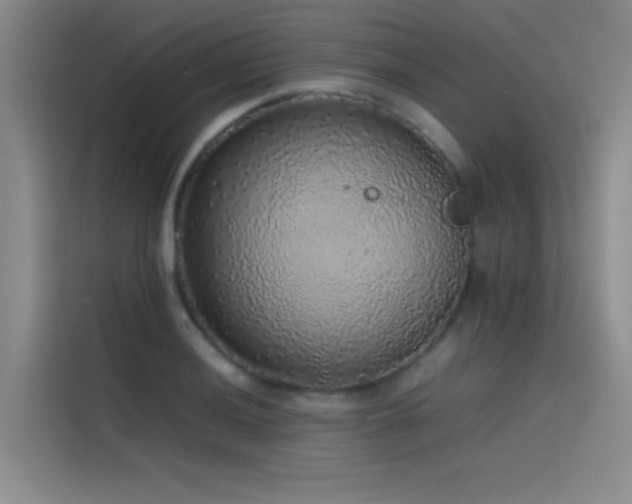 X0000116101036200911231121