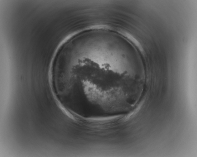 X0000116101037200911231121