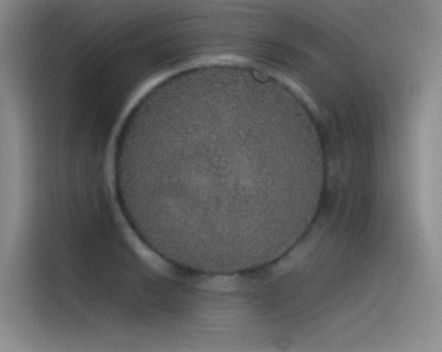 X0000116101038200911231121