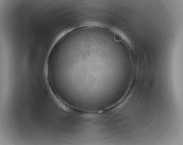 X0000116101040200911231121