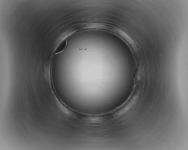 X0000116101041200911231121