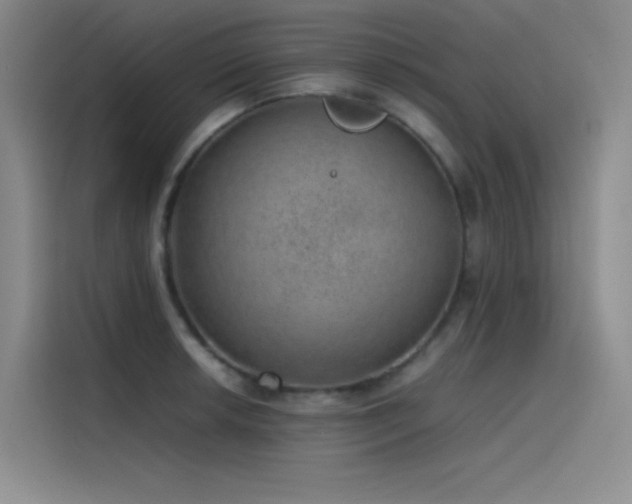 X0000116101042200911231121