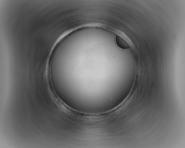 X0000116101044200911231121