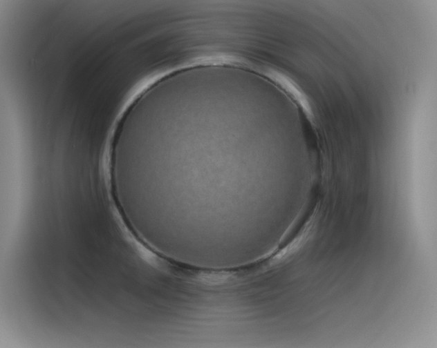X0000116101046200911231121