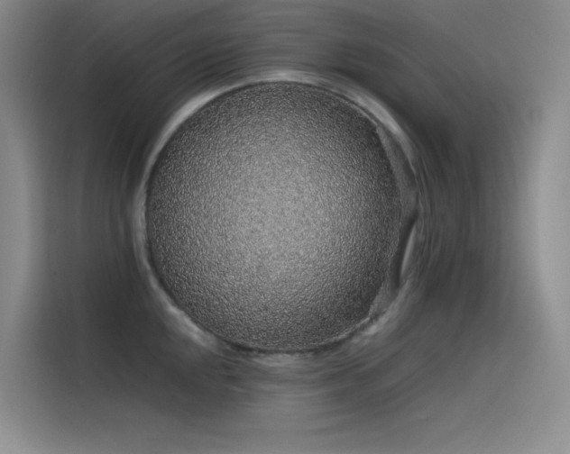 X0000116101048200911231121