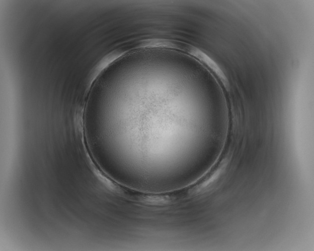 X0000116101049200911231121