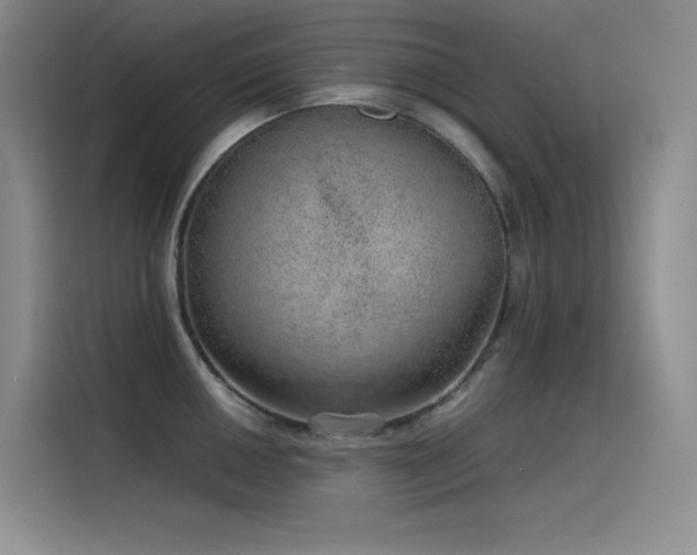 X0000116101050200911231121