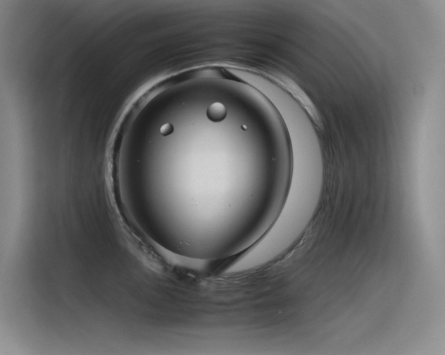 X0000116101051200911231121