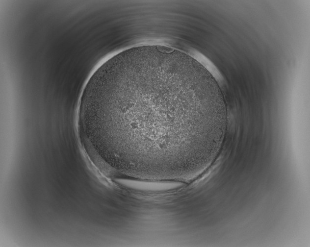 X0000116101052200911231121