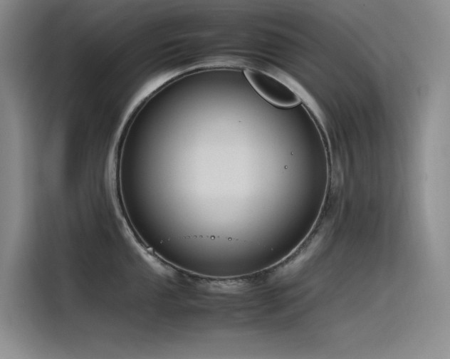 X0000116101053200911231121