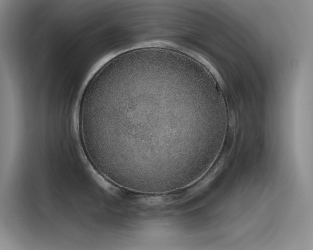 X0000116101054200911231121