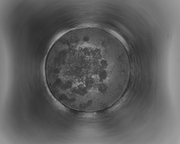 X0000116101055200911231121