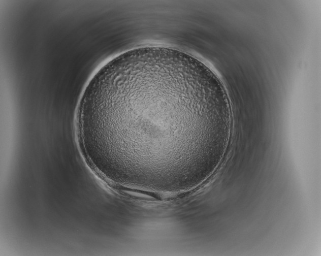 X0000116101056200911231122