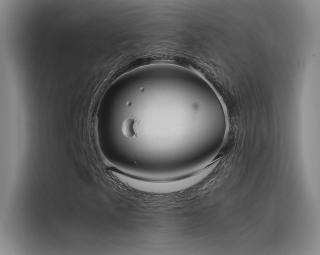 X0000116101057200911231121