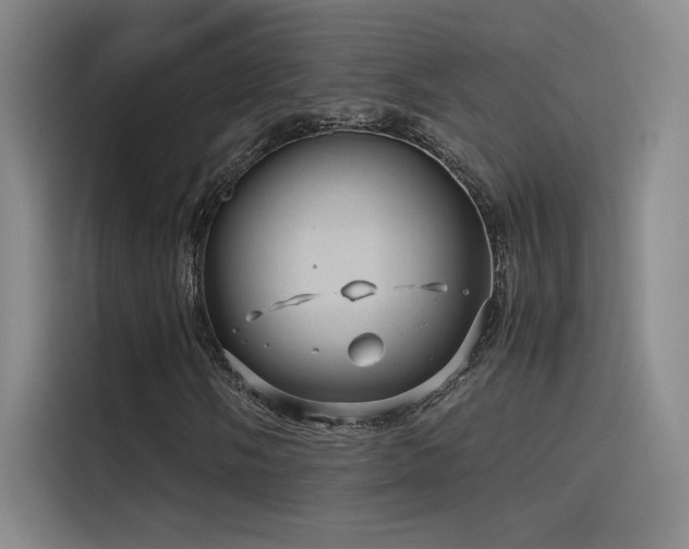 X0000116101058200911231121
