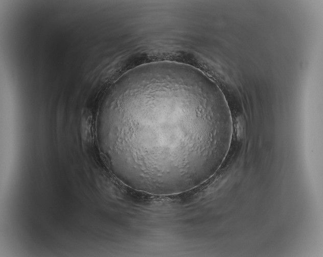 X0000116101059200911231121