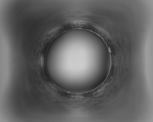 X0000116101061200911231121