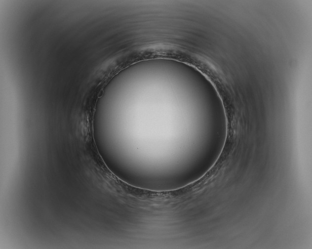 X0000116101062200911231121