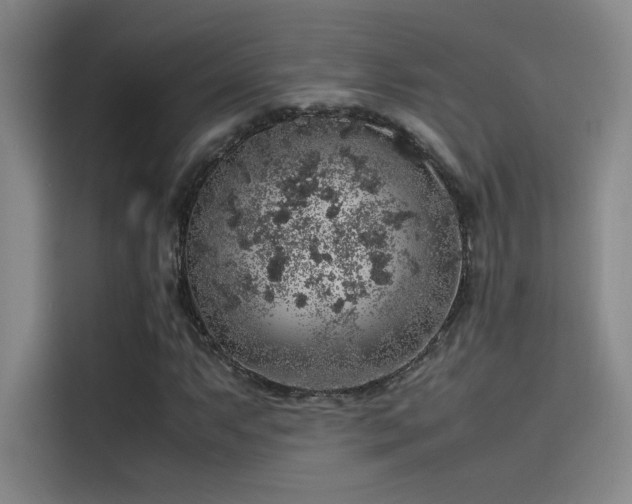 X0000116101063200911231121
