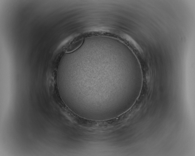 X0000116101064200911231121