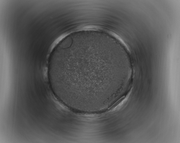 X0000116101066200911231121
