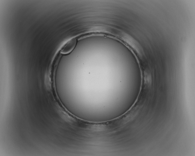 X0000116101068200911231121