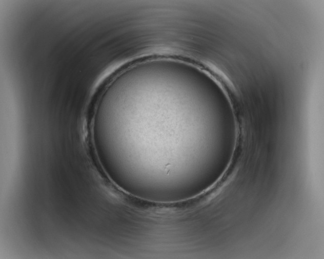 X0000116101070200911231121