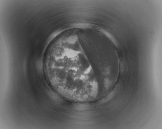 X0000116101074200911231121