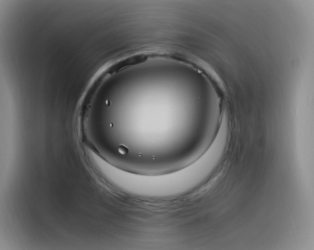 X0000116101075200911231121