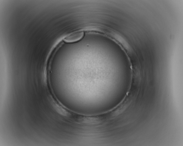 X0000116101076200911231121