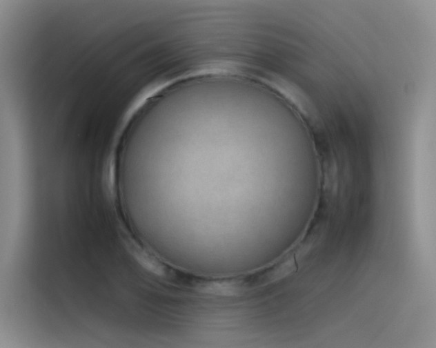 X0000116101078200911231121