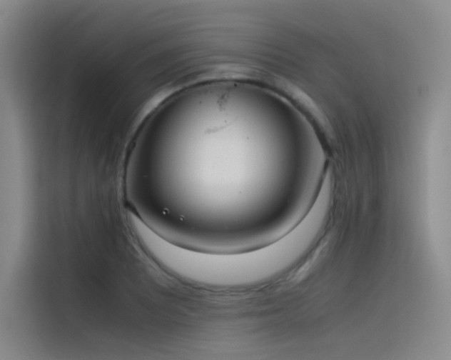 X0000116101081200911231121