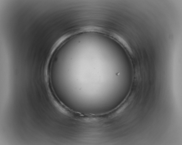 X0000116101082200911231121