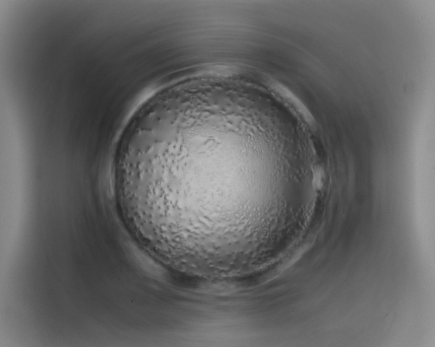X0000116101083200911231121