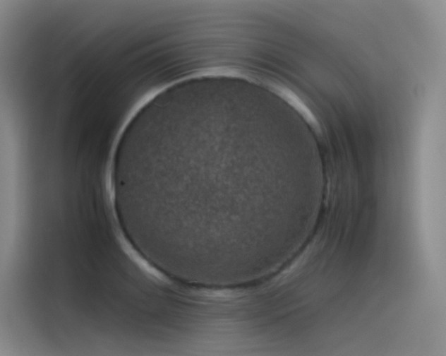 X0000116101084200911231121