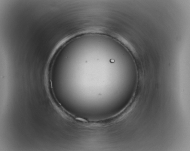 X0000116101085200911231121