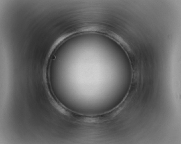 X0000116101086200911231121