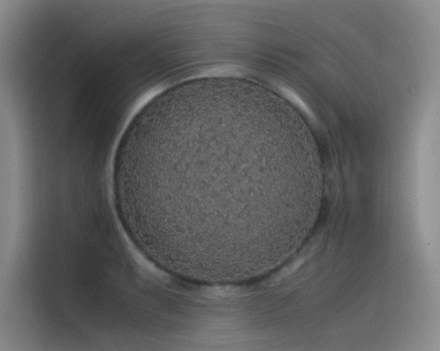 X0000116101087200911231120