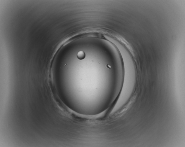 X0000116101089200911231120