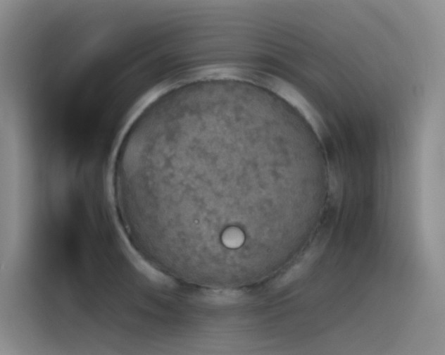 X0000116101090200911231120