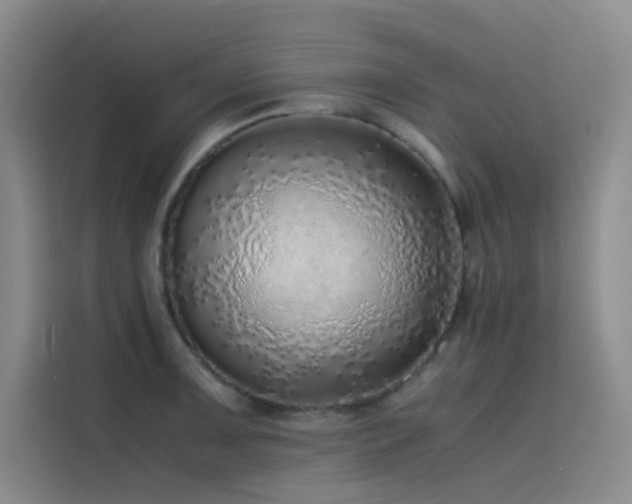 X0000116101091200911231120