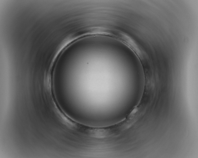 X0000116101092200911231120