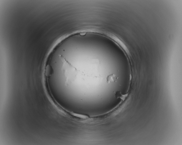 X0000116101093200911231120