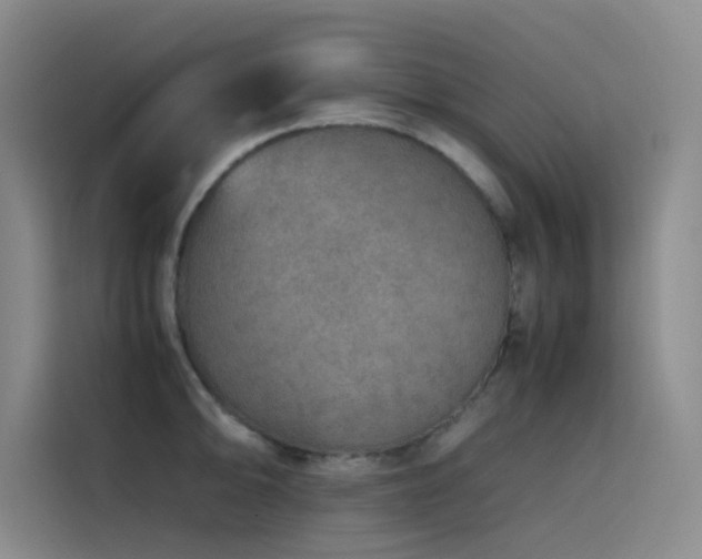 X0000116101094200911231120