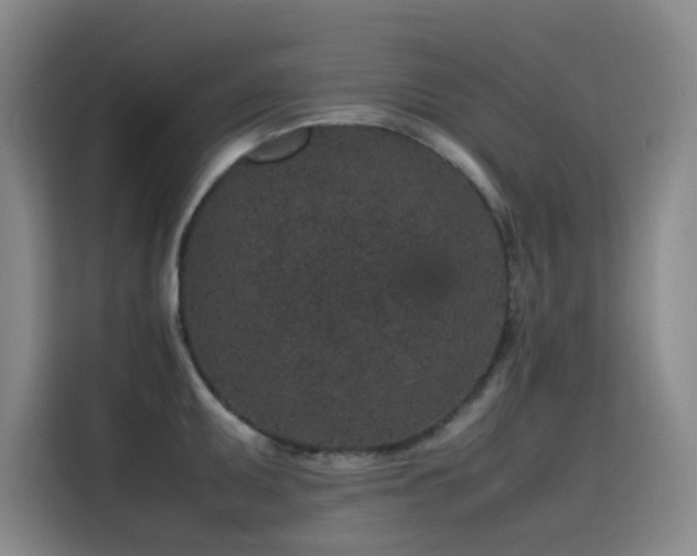 X0000116101095200911231120