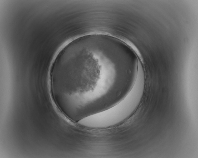 X0000116101096200911231120
